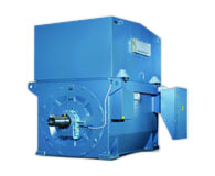Squirrel Cage Motors Squirrel Cage Motors